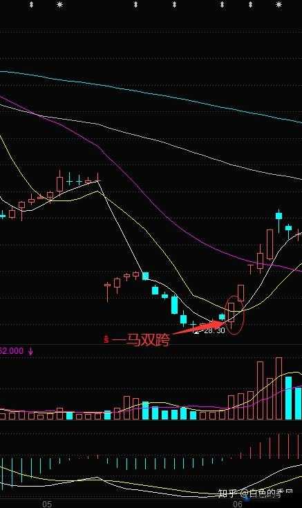 一马双跨是不是一种神奇的助力：其背后的意义与影响探讨