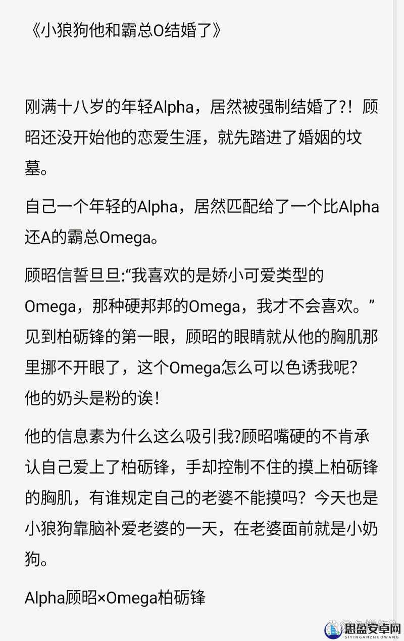 几个 ALPHA 共享 OMEGA 车：独特出行新体验