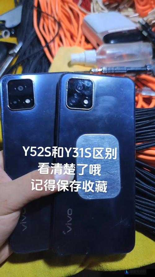 一级成色好的 y31s 标准版配有中文字幕？网友：y31s 标准版值得拥有