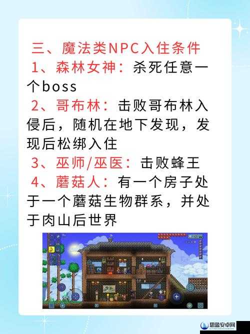 肉山后 NPC 入住条件是什么：详细解析与全面探讨