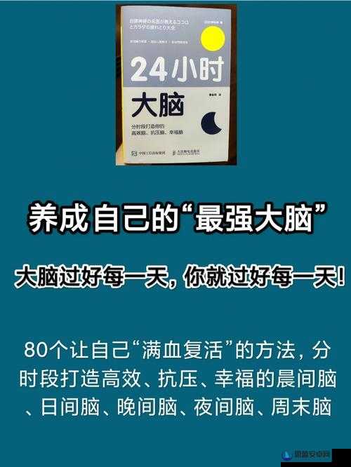 揭秘最强大脑第137关，探索真与假之间的奥秘，全面解析通关方法