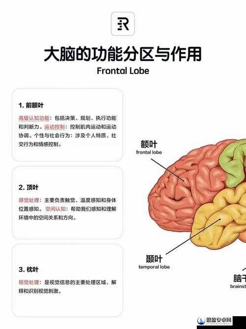 挑战最强大脑，揭秘第138关找爱心技巧，全面通关方法一览