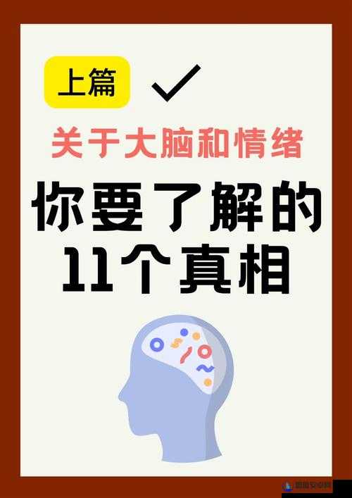 解锁智慧之门攻略，揭秘最强大脑第125关偷什么不犯法的巧妙通关秘籍