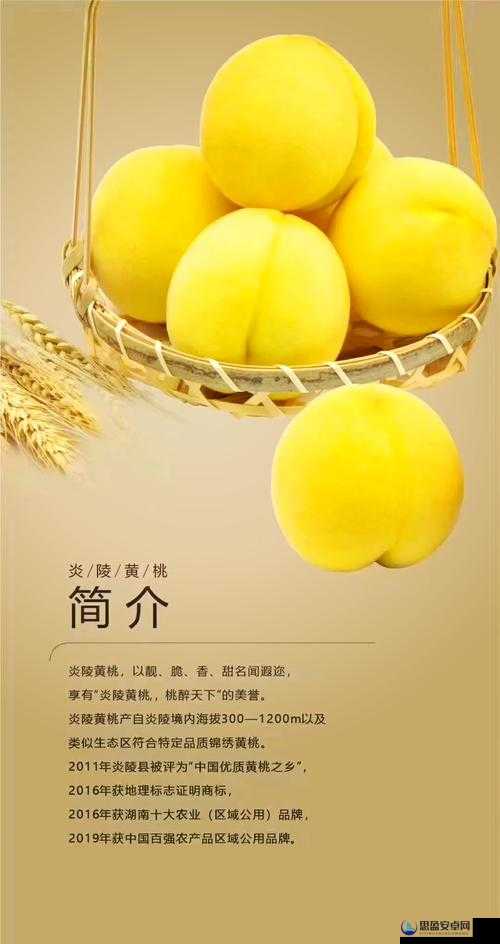 9612 黄桃亚洲品质：独具特色的美味水果深受消费者喜爱