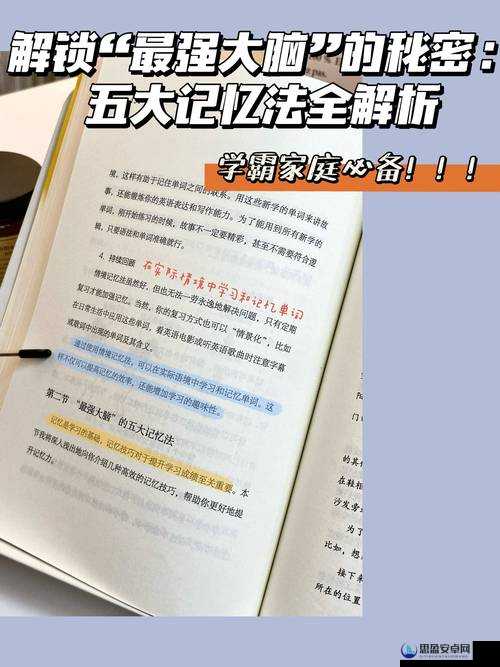 揭秘最强大脑谜题第99关，全面解析多少个9的通关策略与秘籍