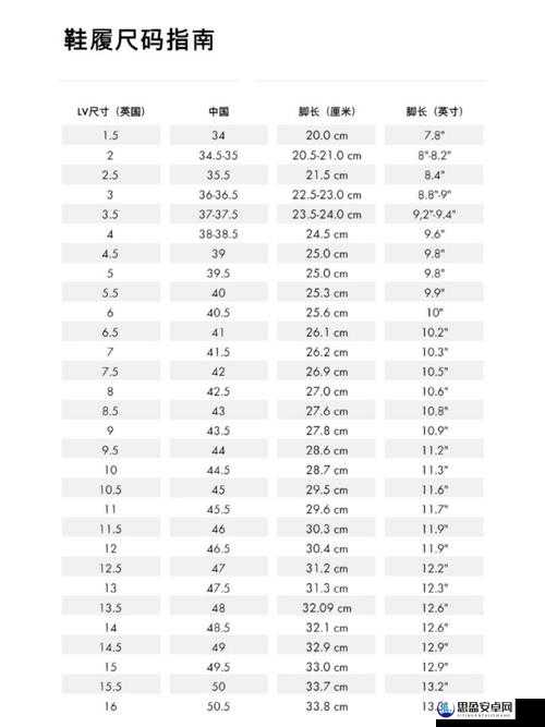 欧洲尺码日本尺码专线美国：探索国际尺码专线的多元奥秘