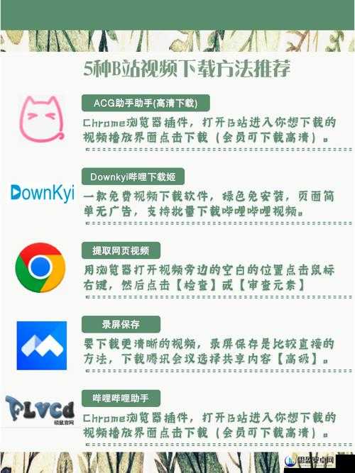 B站视频离线观看技巧之如何更高效地进行离线观看及相关注意事项