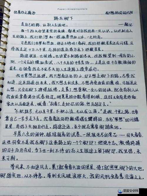 脚下之路终极挑战，最终章通关全解析与流程技巧攻略