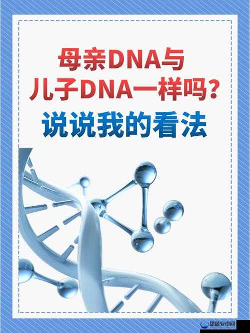 母亲 DNA 与儿子 DNA 一致所蕴含的深刻意义探讨