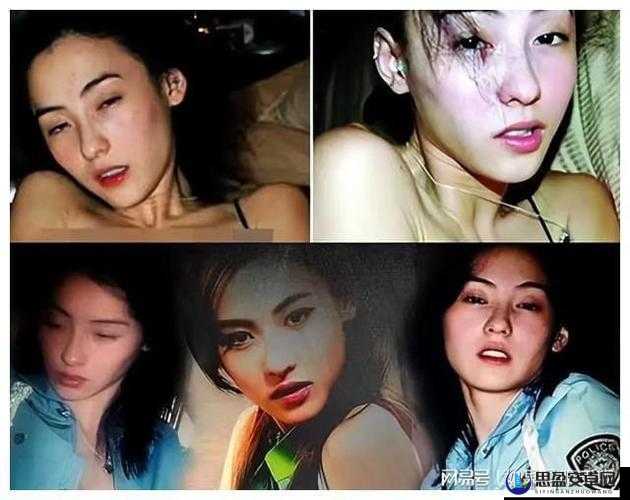 一代女神张柏芝：仙踪林的神秘传奇