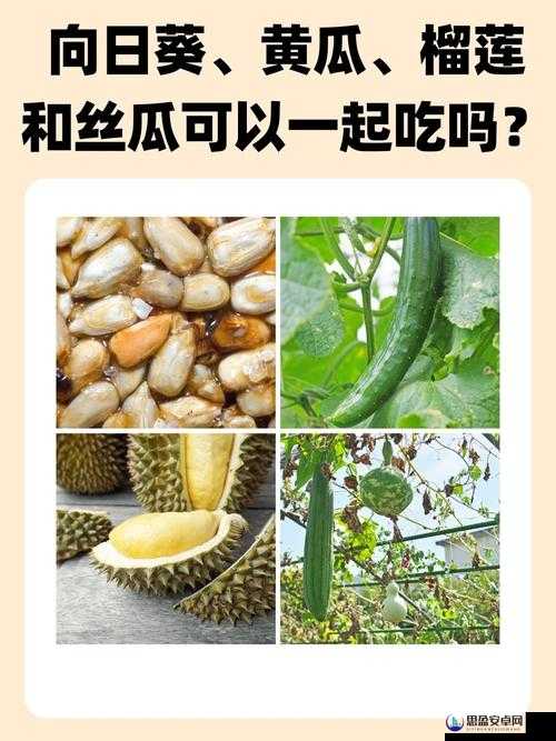 水果的奇妙组合：草莓、丝瓜、香蕉、向日葵、榴莲的奇妙冒险