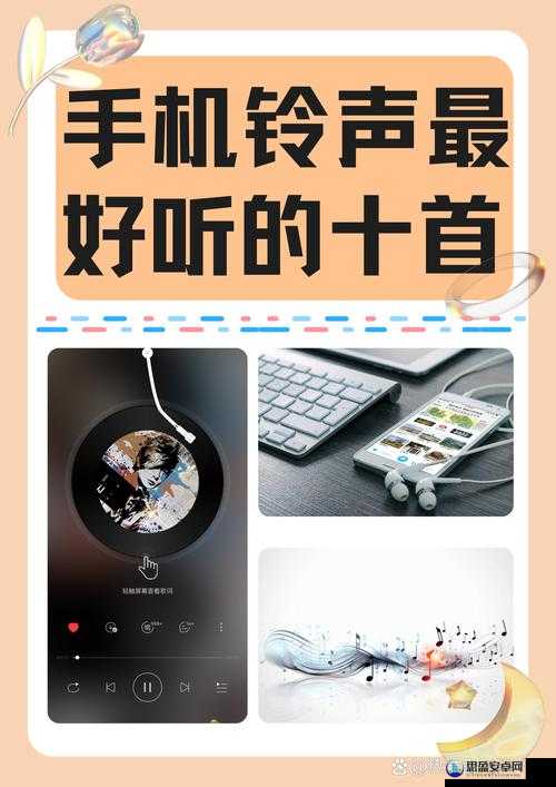 我们换个地方做樱花是什么歌：探寻其背后的音乐故事与情感内涵