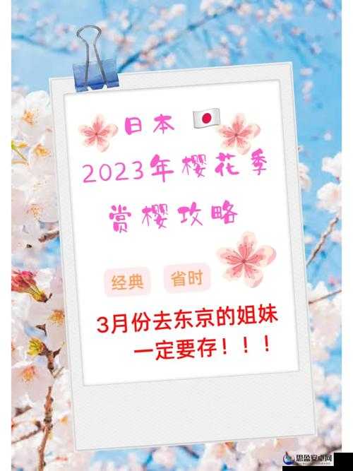 樱花官网官方进入版网址 2023：带你领略全新精彩世界