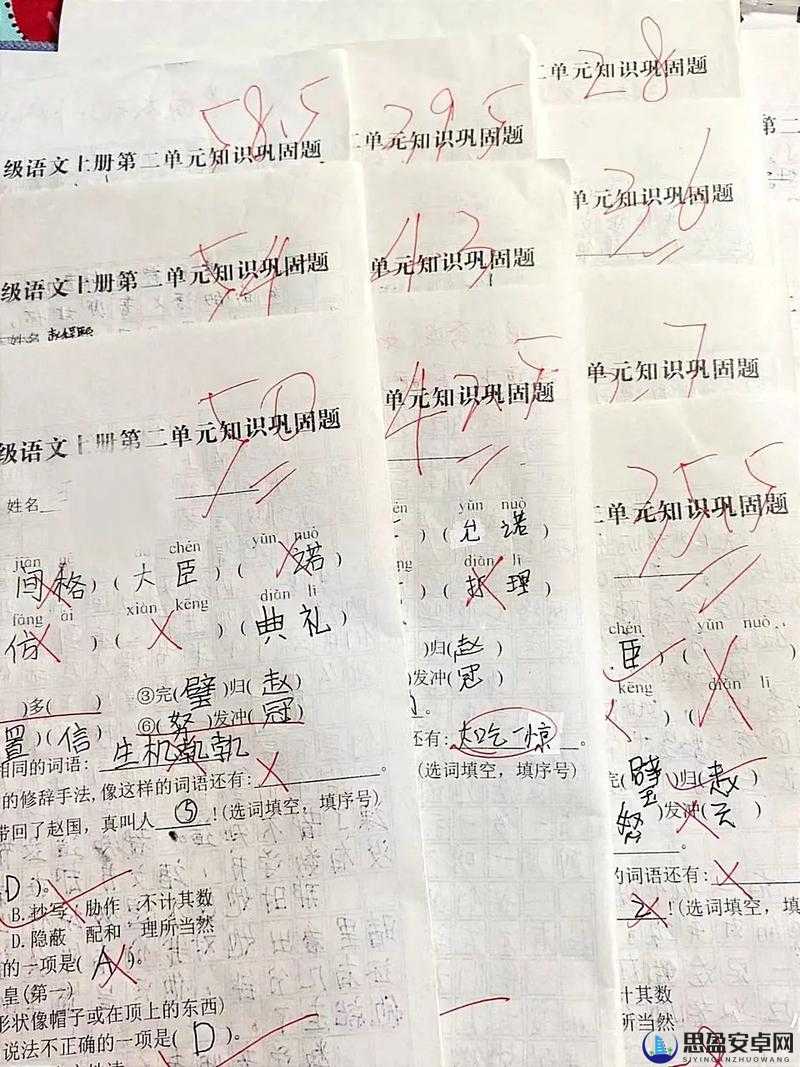 史小坑烦恼5第23关深度揭秘，考试成绩不及格背后隐藏的惊人真相