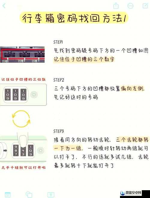 如何在Grounded游戏中解锁并制作具有特殊效果的盐块箭？